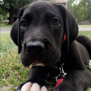 Meet your Posher, Kimberly